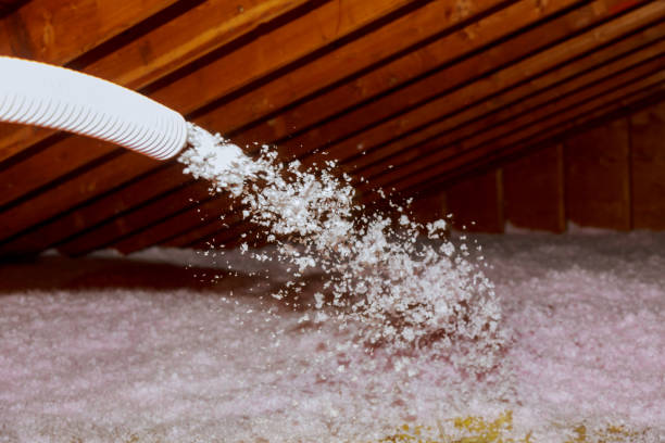 Best Residential Insulation Services  in Hale Center, TX