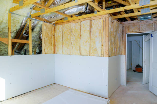 Insulation Repair Services in Hale Center, TX