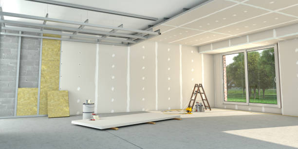 Best Insulation Inspection Services  in Hale Center, TX