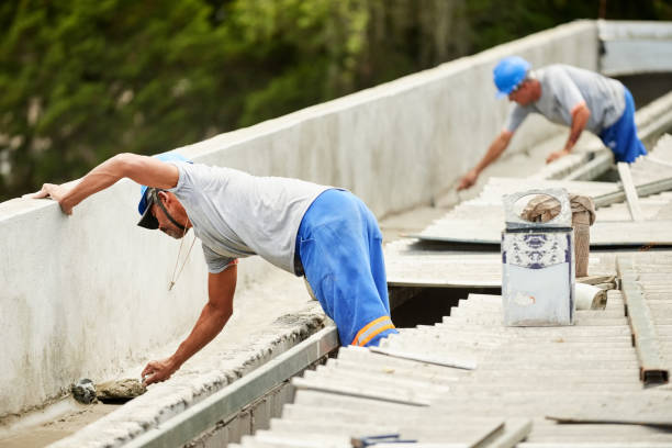 Best Insulation Removal  in Hale Center, TX
