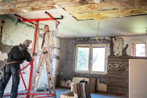 Best Blown-in Insulation  in Hale Center, TX