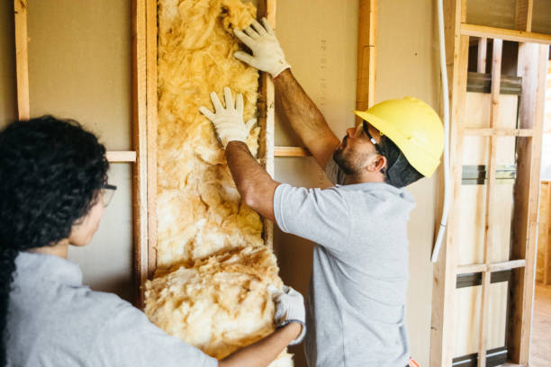 Best Soundproof Insulation Installation  in Hale Center, TX