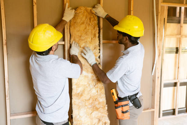 Best Insulation Repair Services  in Hale Center, TX