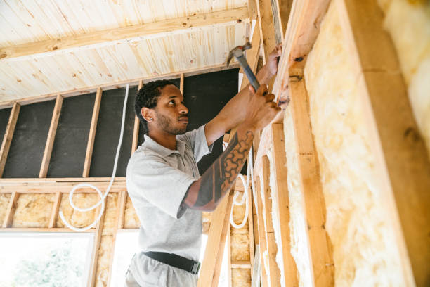 Best Insulation Inspection Services  in Hale Center, TX