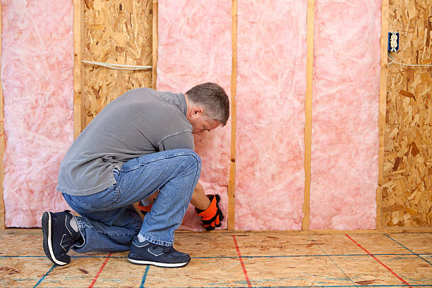 Best Energy-efficient Insulation  in Hale Center, TX