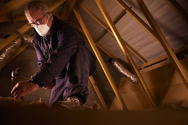Best Insulation Contractors for Homes  in Hale Center, TX