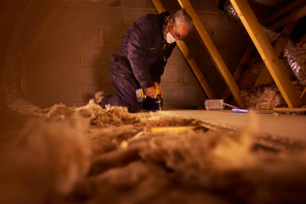 Insulation Contractors for Homes in Hale Center, TX